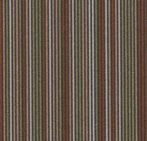 linear complexity taupe