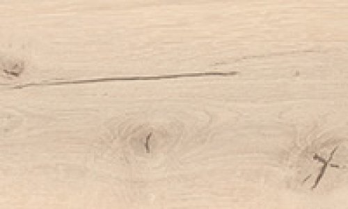 Special edition NKL31 Plank 1-Strip Glacier Oak textured