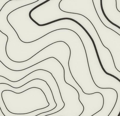 sarlon topography white