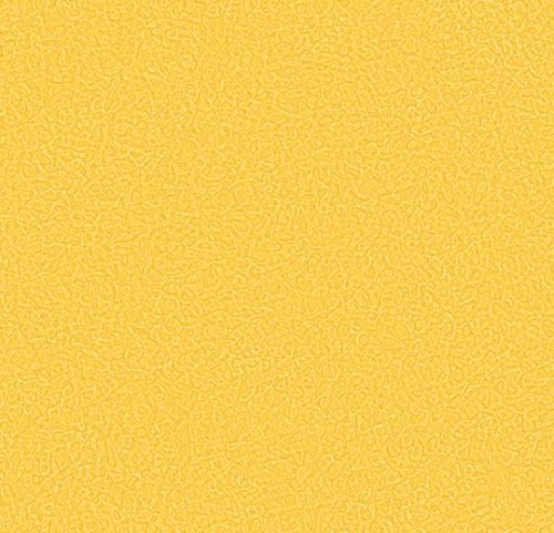 sarlon sparkling canary