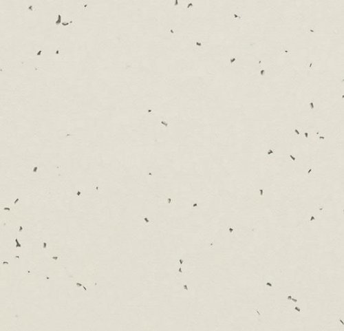 sphera energetic lace